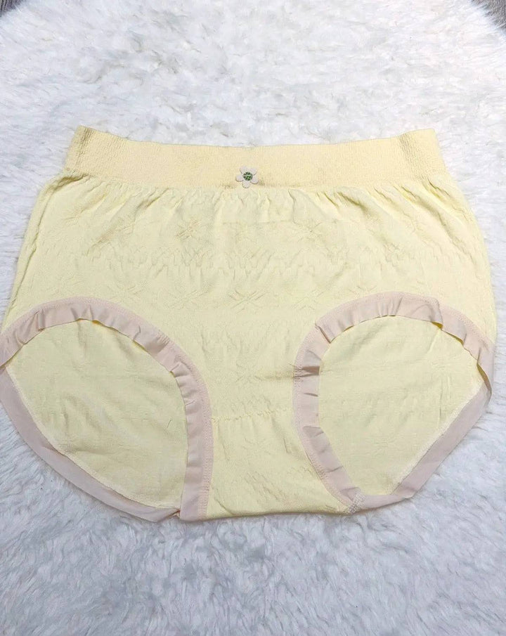 Sajiero Plus Size Extra Stretchable Brief Cotton Panty premium quality underwear for women  best price in Pakistan online