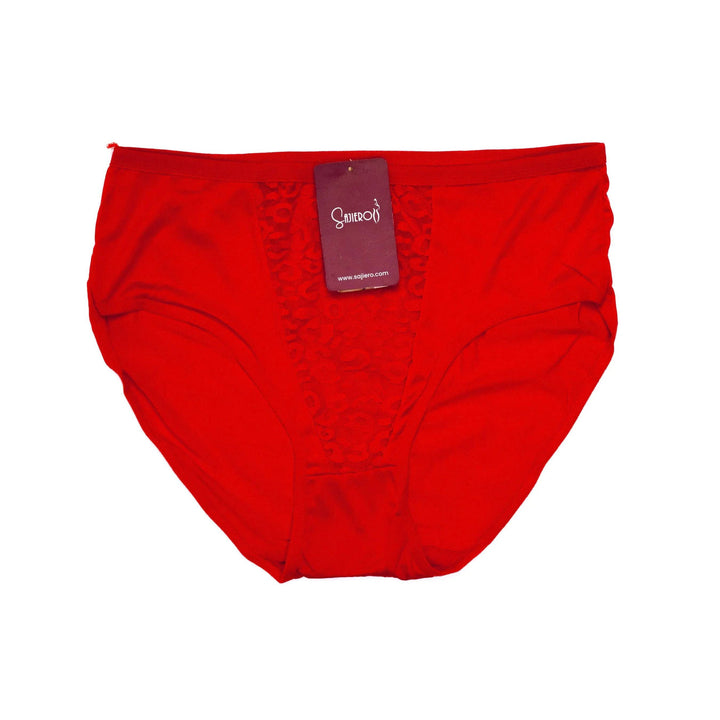 Sajiero Vee Embroidery Plus Size  Net Brief Cotton Panty - My Store