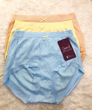 Sajiero ZAV Plus Size Extra Stretchable Brief Cotton Panty - My Store