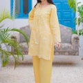 Daily Desire By Abeera Stitched 2 Piece Cotton Collection'2025-Soft Sophistication