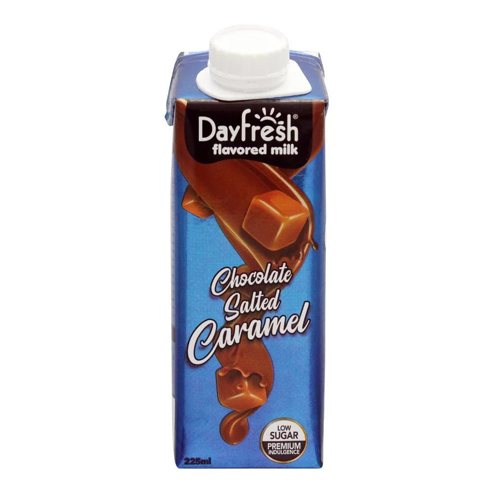 Dayfresh Chocolate Salted Caramel Milk 225ml