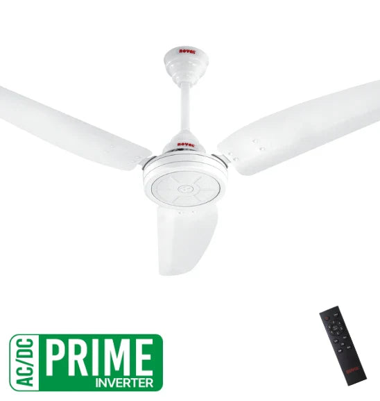 Royal - Passion Magnum - Prime ACDC Ceiling Fan - My Store
