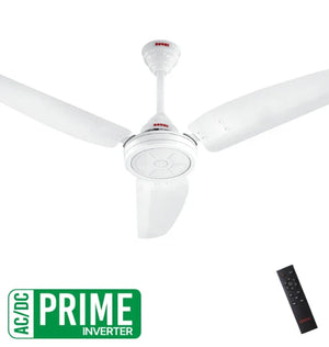 Royal - Passion Magnum - Prime ACDC Ceiling Fan - My Store