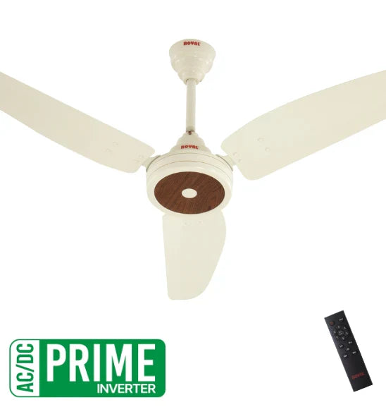 Royal - Passion Magnum - Prime ACDC Ceiling Fan - My Store