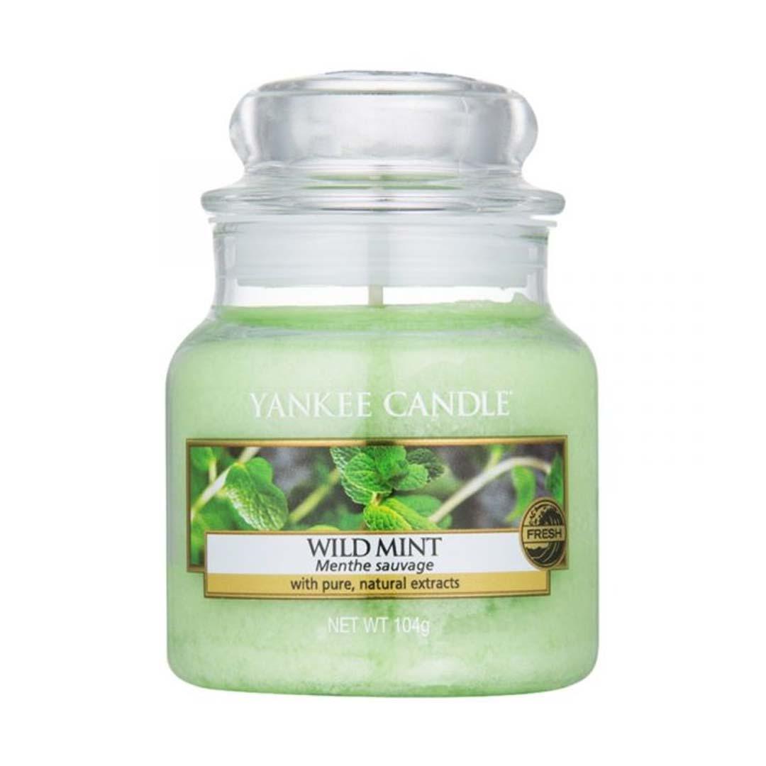 Yankee Candles Classic Small Jar Wild Mint 104G