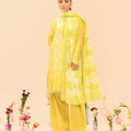 Miss Aik By Aik Atelier Stitched 3 Piece Summer Silk Suit-D1-LOOK 10