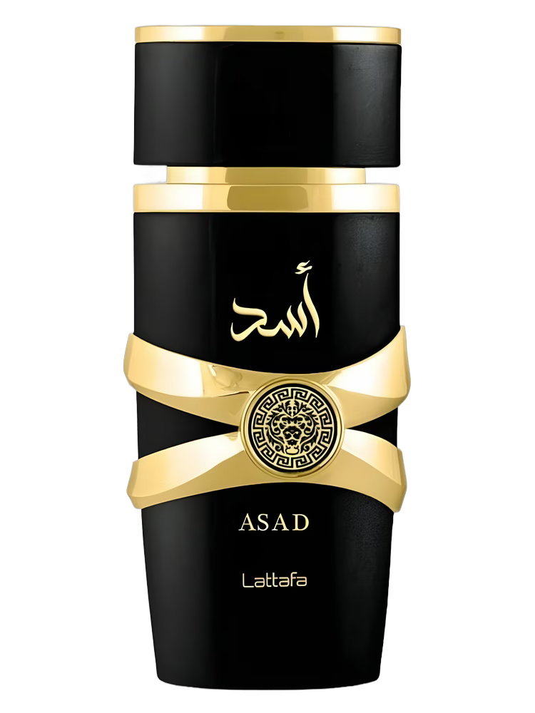 Lattafa - Edp Asad 100 Ml