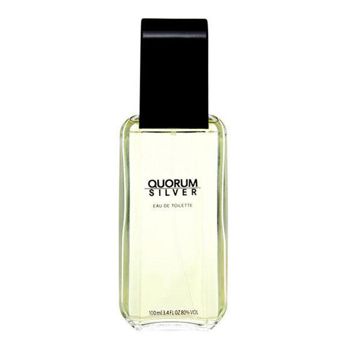 Quorum Silver Eau De Toilette For Men 100ml