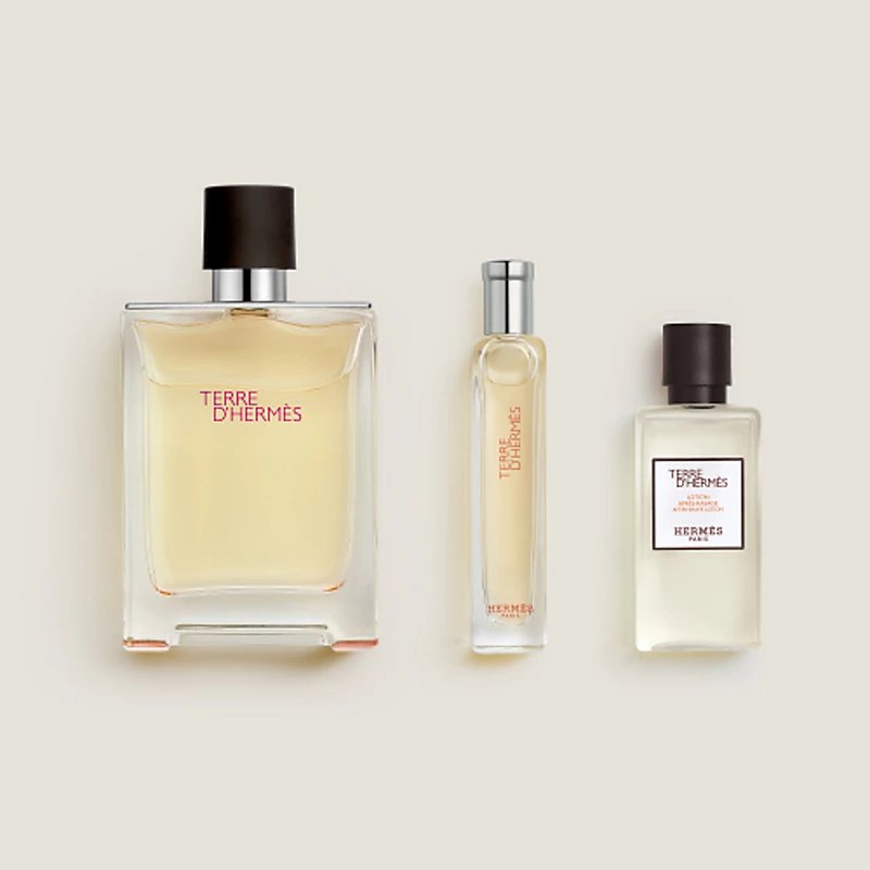 Hermes Terre D Hermes Set EDT 100Ml+EDT 15Ml+AFS 40Ml