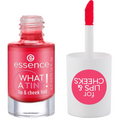 Essence What A Tint! Lip & Cheek Tint