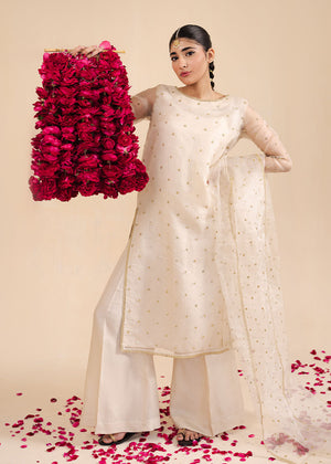 Chamak Dhamak By Pashma Khan Eid Collection'2025-Chambeli