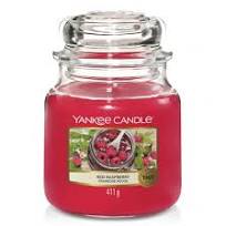 Yankee Candle Classic Jar