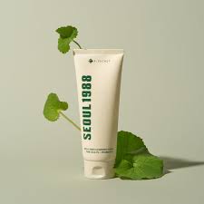K-Secret - Seoul 1988 Cleansing Foam : Pine Cica 1% + Probiotics 150ml