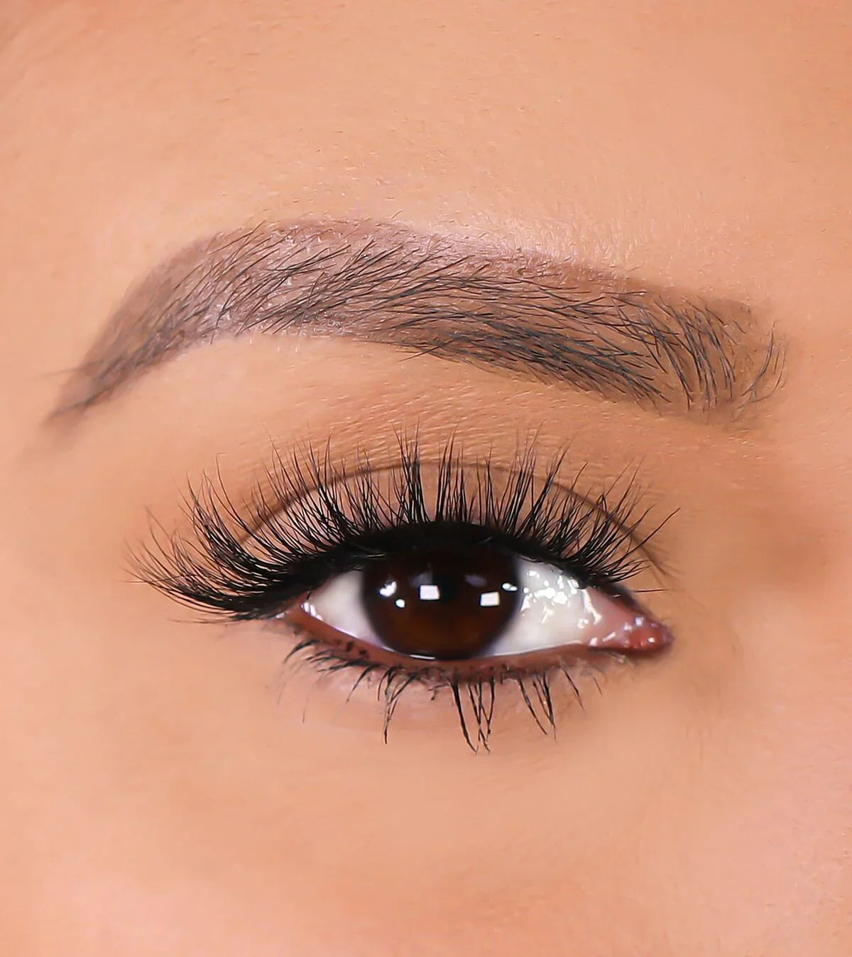 Lurella - 3D Mink Eyelashes Parrish