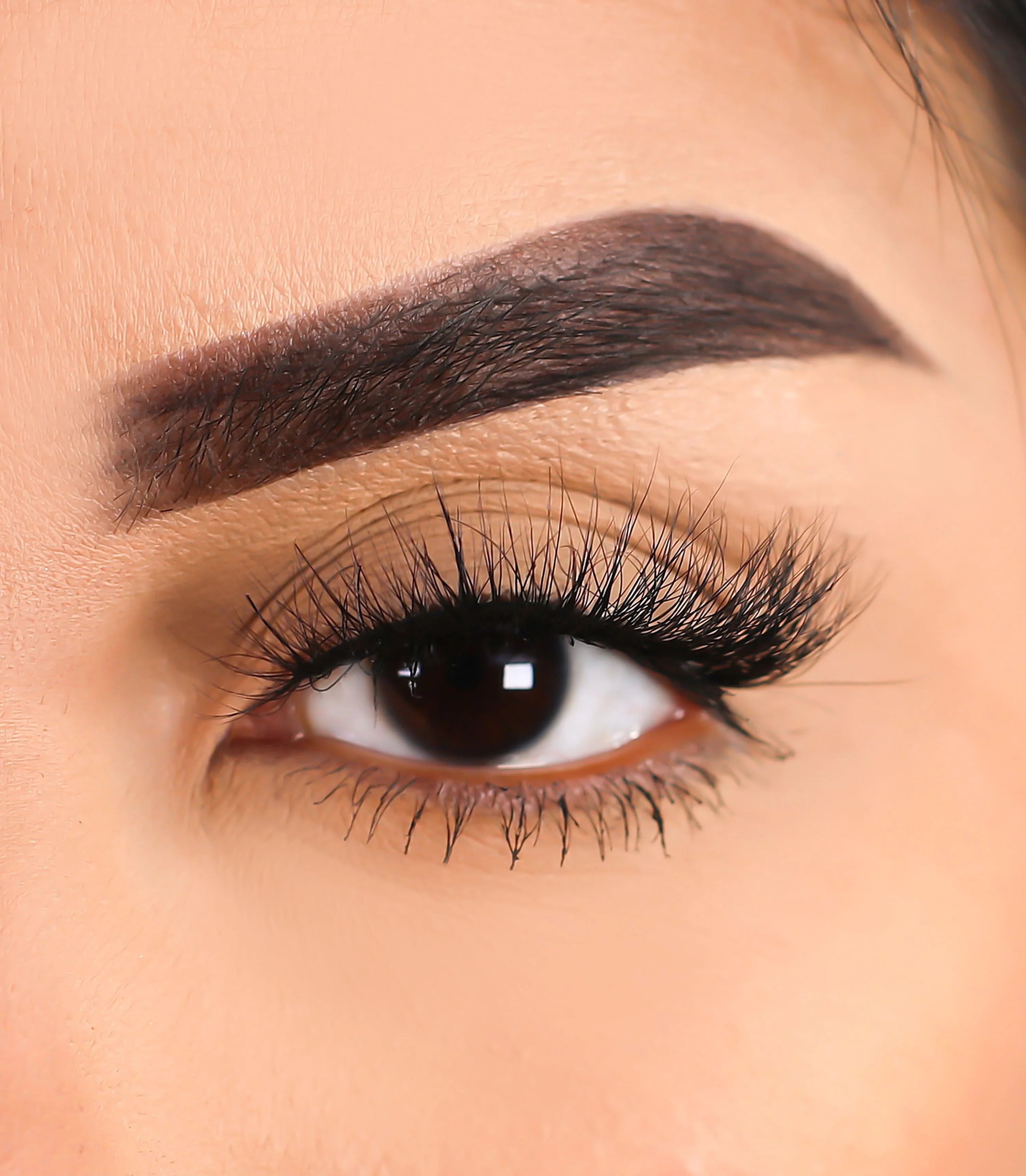 Lurella - 3D Mink Eyelashes Record