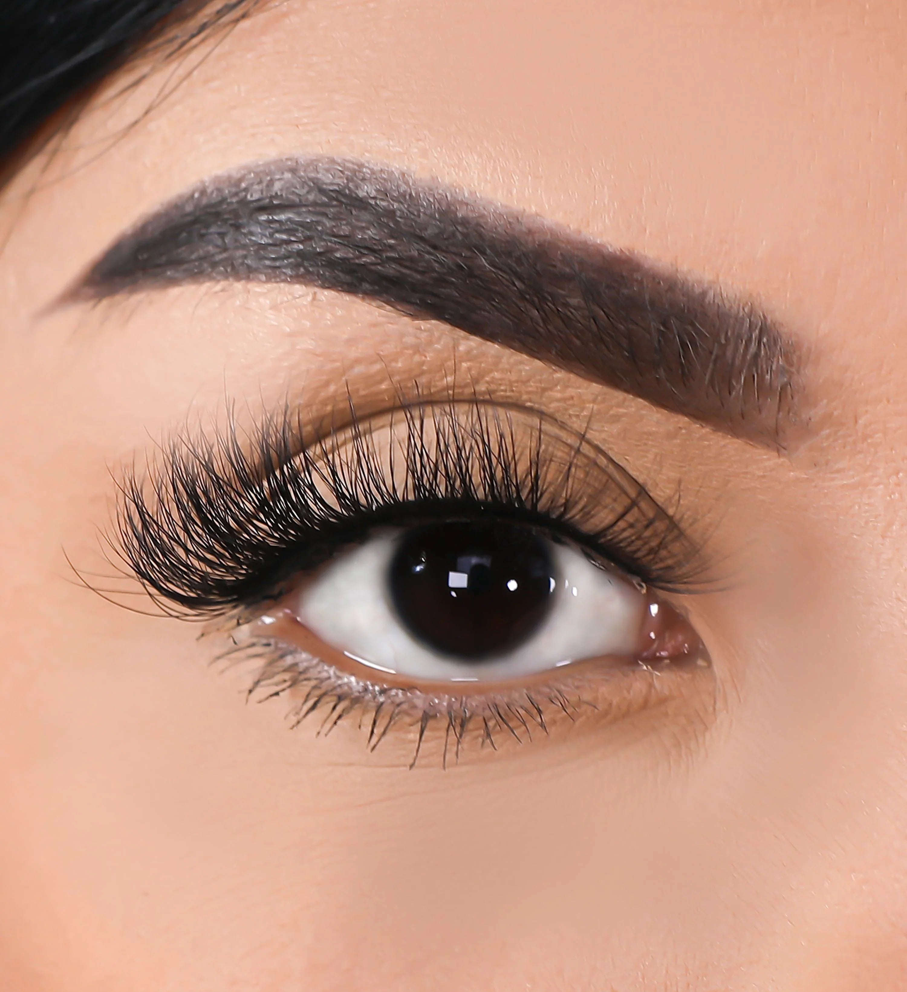 Lurella - 3D Mink Eyelashes Rise