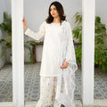Zauk White Kurta Set